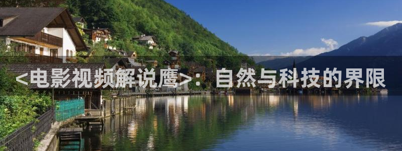 西瓜课程
