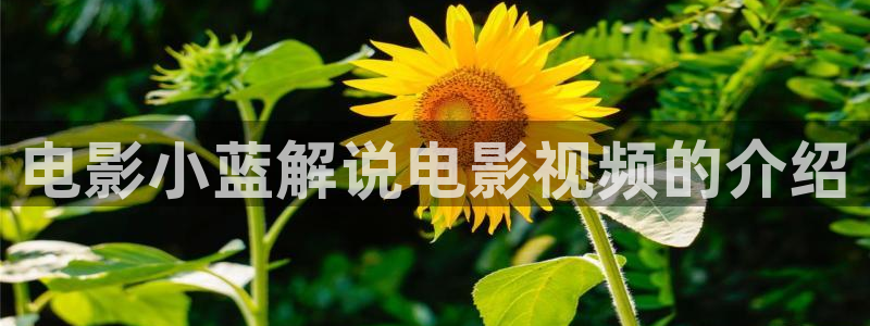 西瓜影院在线观看免费高清电视剧2025版